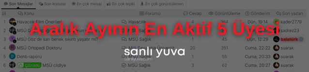 Şanlı Yuva Forum Konu Üstü (1).png